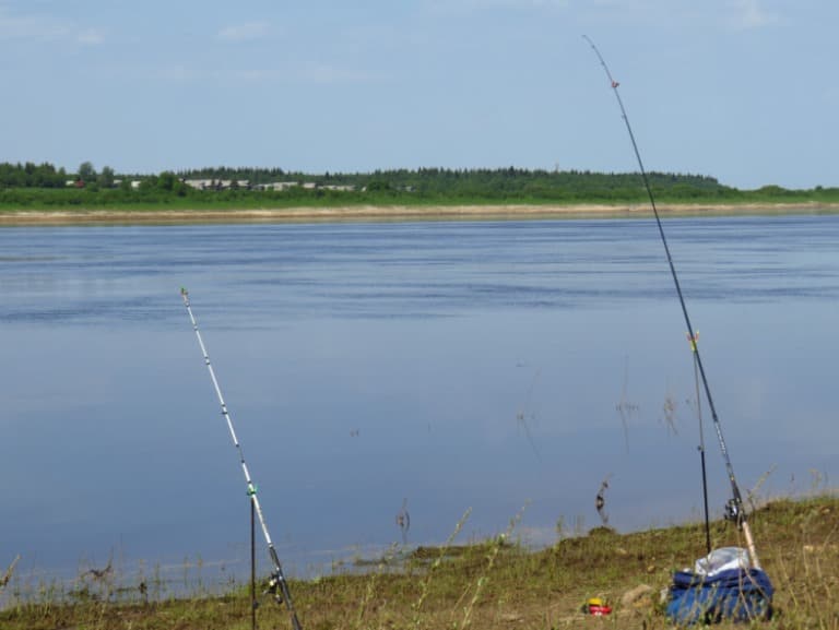 Прогноз клева в Витебске на Двине на 5 дней в районе и области