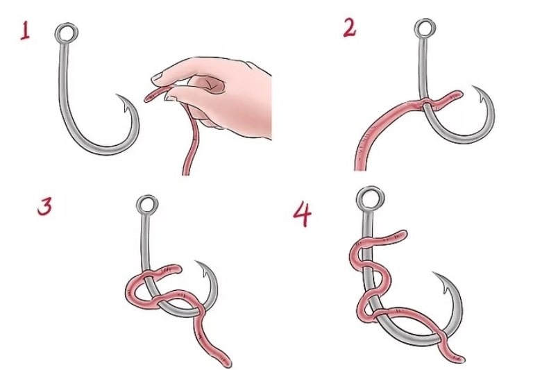 Как правильно насадить червя на крючок – на сома, карпа, удочку
