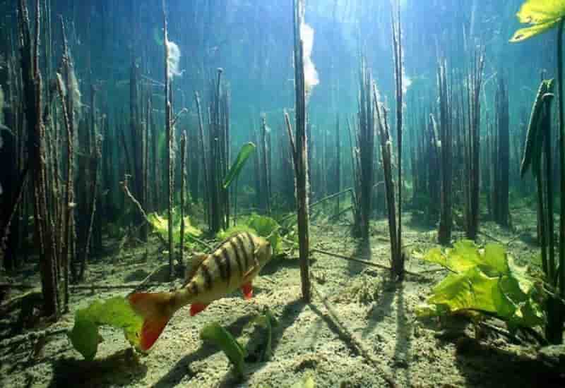 Рыбалка в Челябинской области озера и водоемы, лучшие места