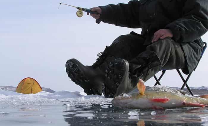 Прогноз клева рыбы, щуки в Ленинградской области на неделю, 5 дней, 3 дня