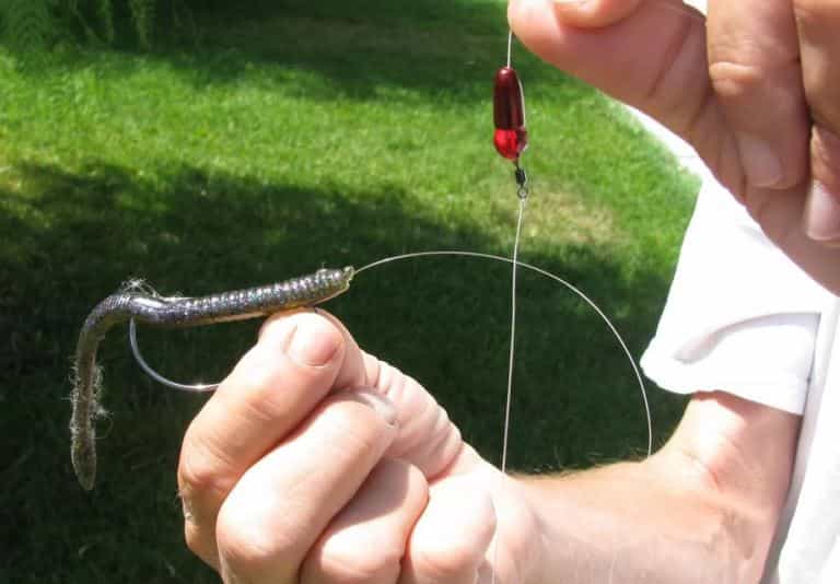 Каролинская оснастка для спиннинга на окуня, щуку, судака – монтаж