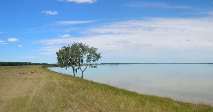 Прогноз клева рыбы в Новосибирске и Новосибирской области, на Оби