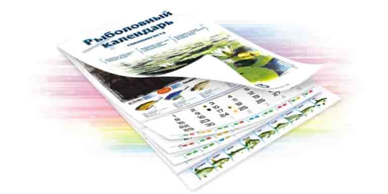 Подробный прогноз клева всех видов рыб на сегодня, завтра, 3 дня и 10 дней