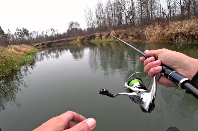Ловля щуки с берега на спиннинг, живца, удочку, летом и осенью