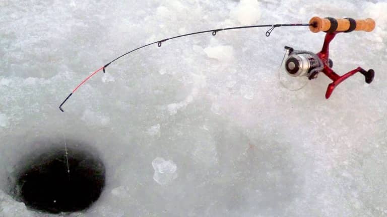 Ловля леща на течении снасти с берега и лодки