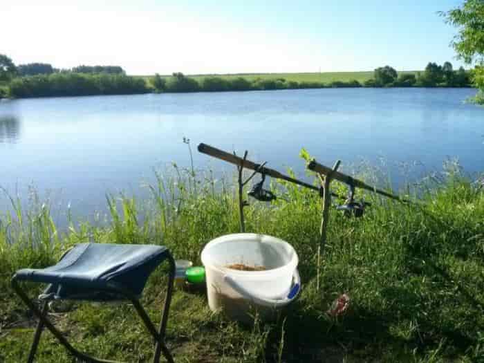 Прогноз клева в Тамбовской области и календарь клева