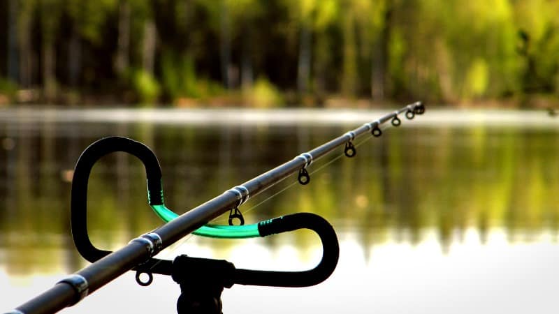 Лучший бюджетный фидер рейтинг ТОП 10