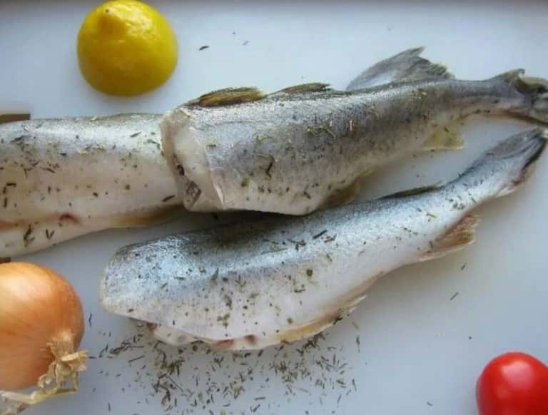 Навага что за рыба – польза и вред, рецепты, фото, отзывы