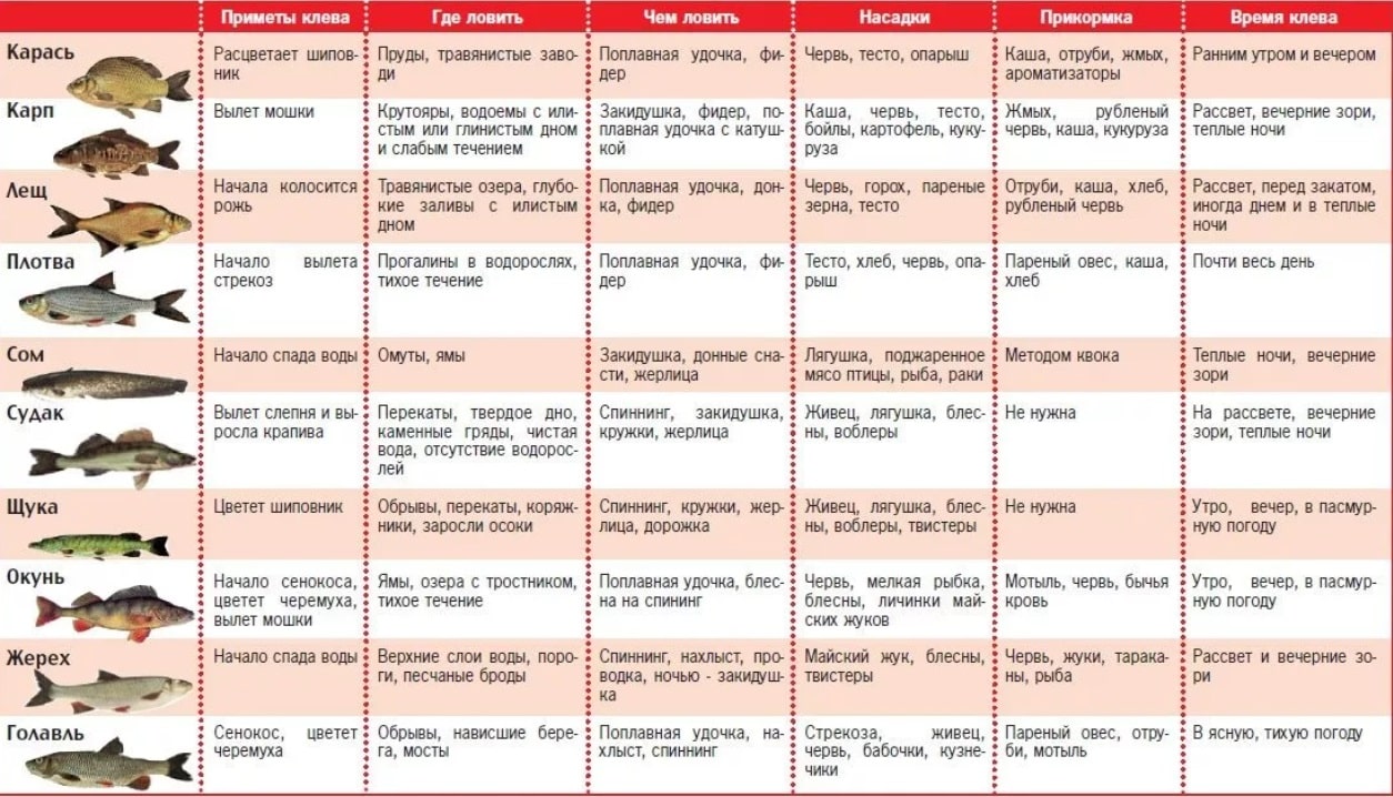 Календарь рыболова на год по дням и месяцам