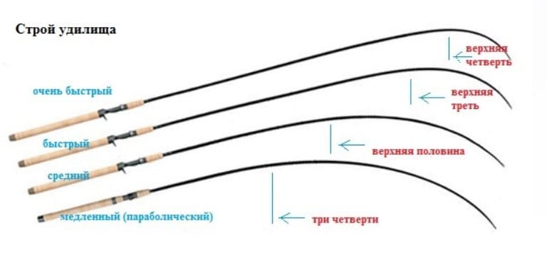 Лучшие карповые удилища для дальнего заброса ТОП 10 рейтинг