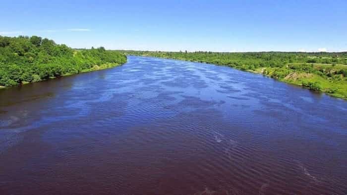 Прогноз клева рыбы в Ленинградской области на неделю, сегодня, завтра
