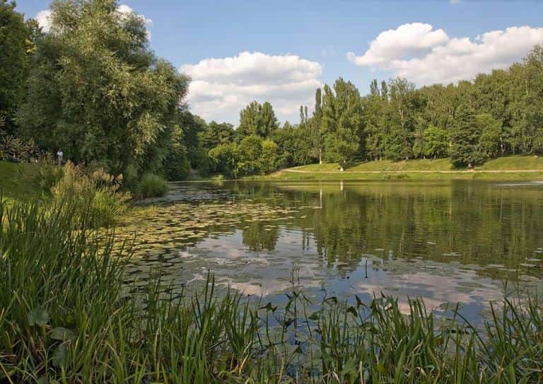 Почему не клюет рыба: окунь, щука, карась, причины плохого клева