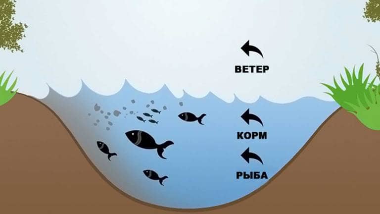 Какой ветер самый лучший для рыбалки и какой плохой