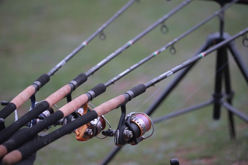 Лучший бюджетный фидер рейтинг ТОП 10