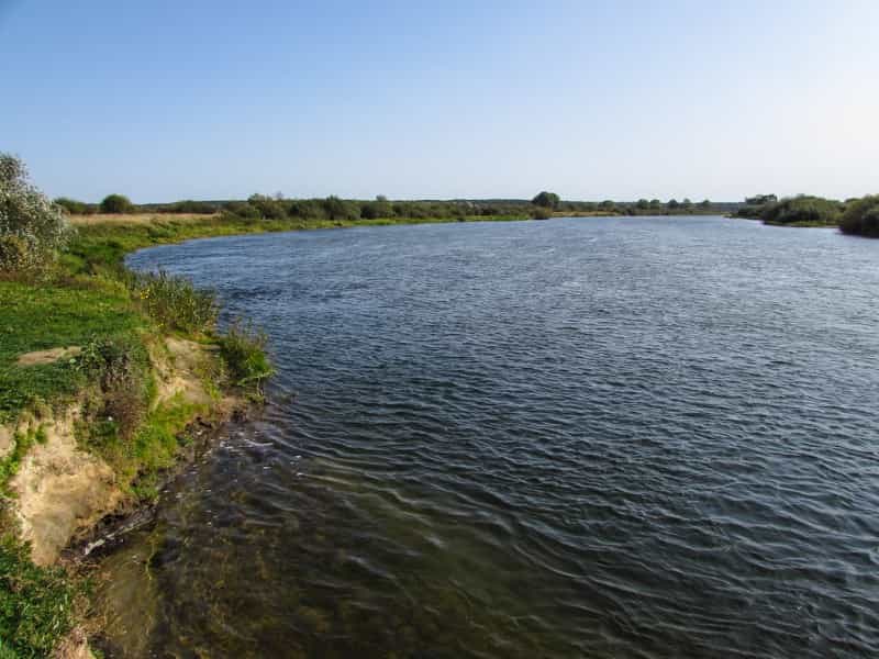 Уровень воды в реке Сож сегодня