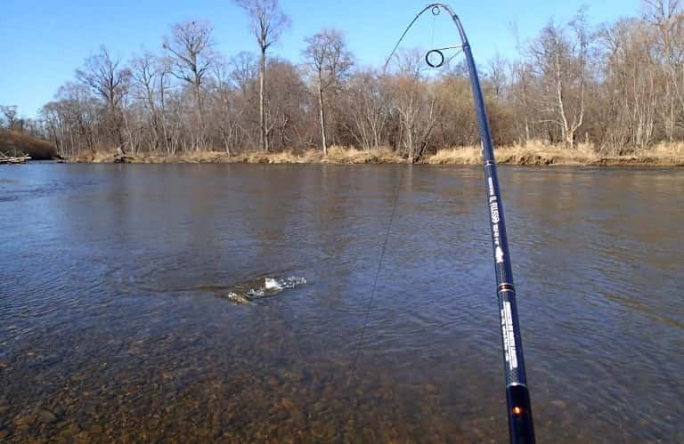 Тест карповых удилищ в граммах 3 lb телескопические, таблица