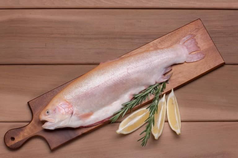 Что за рыба белая форель – как готовить, рецепты, отзывы, фото