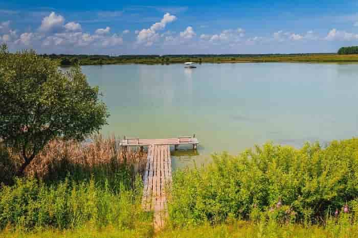 Рыбалка в Рязани и Рязанской области платная и бесплатная