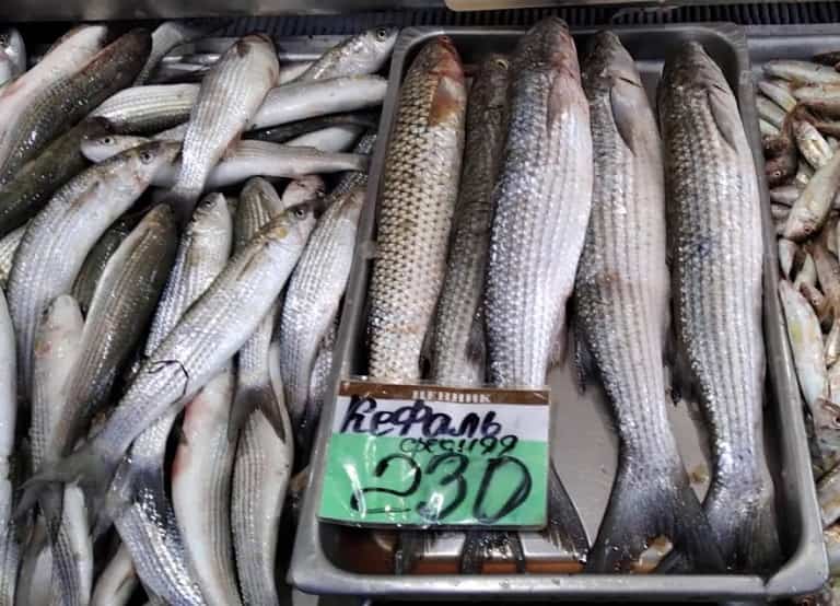 Кефаль что за рыба, как готовить, много ли костей, рецепты