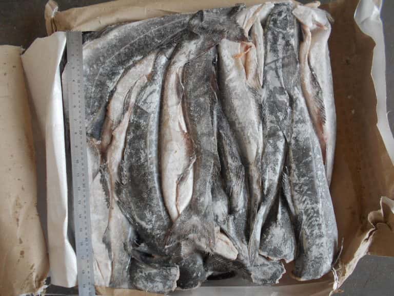 Что за рыба сайда – как готовить, рецепты, отзывы, фото, цена