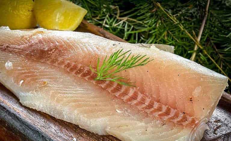 Белорыбица что за рыба, фото, рецепты, описание, польза