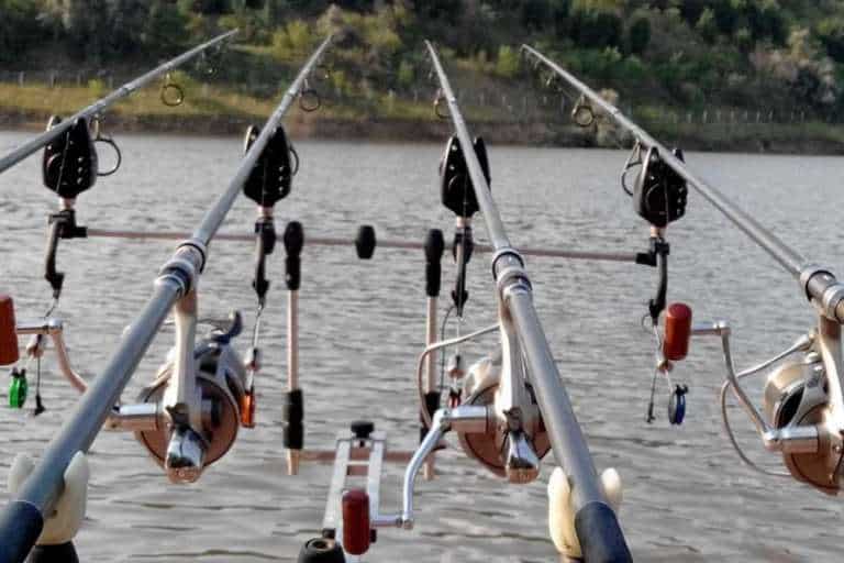 Запрет на рыбалку с какого числа начинается по областям