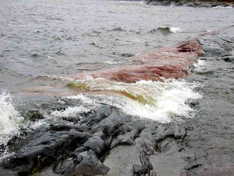 Загрязнение Ладоги