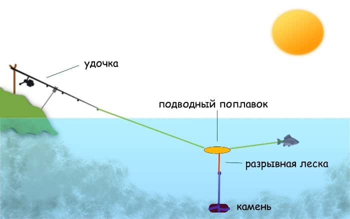 Как сделать снасти для ловли сома с берега на течении