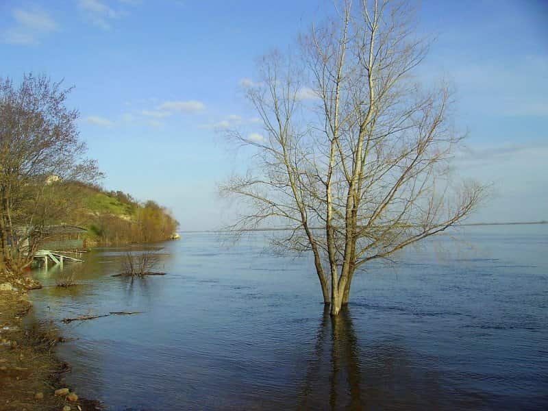 Уровень воды в Волге сегодня
