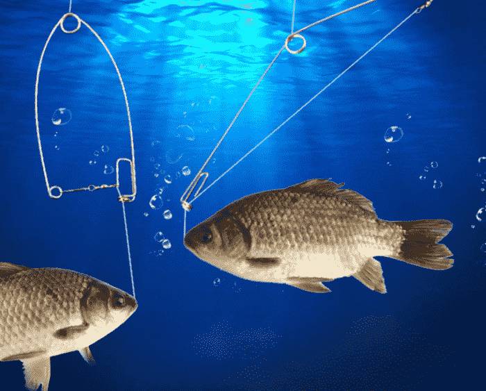 Хитрые снасти для рыбалки