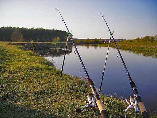 Фидерное удилище