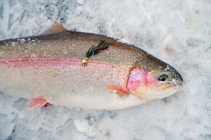 Мормышка на форель