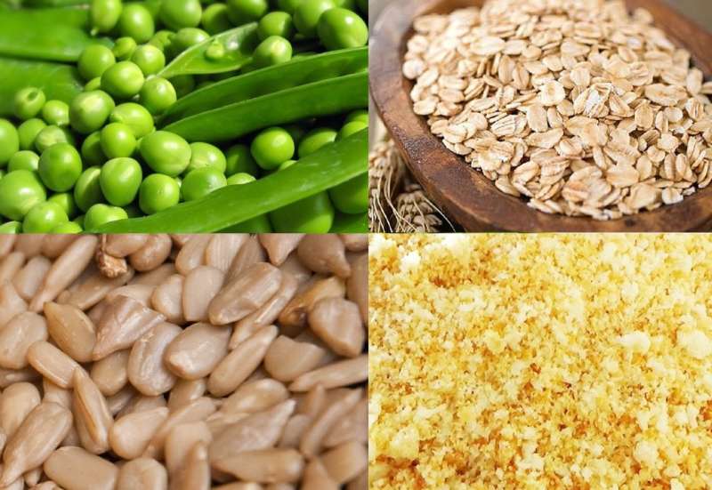 Руководство по ловле леща на мормышку зимой