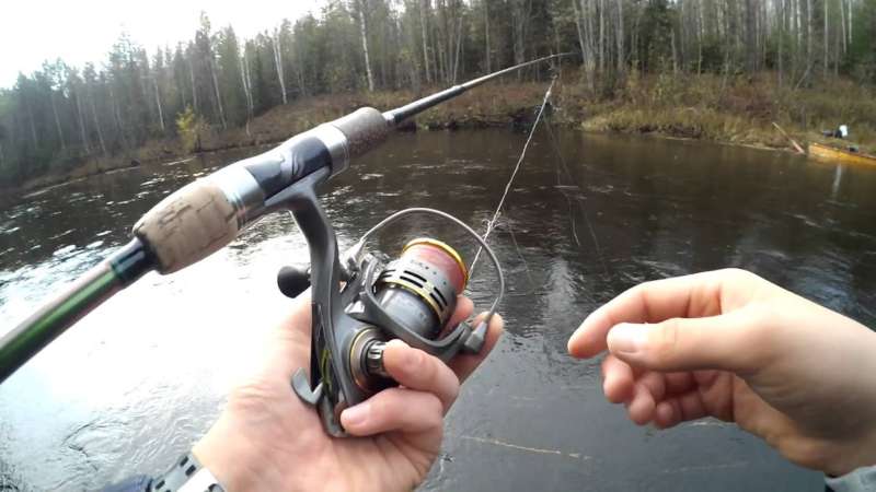 Хариус на спиннинг