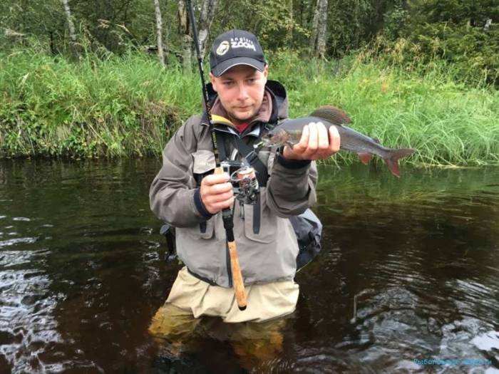 Хариус пойманный в половодье