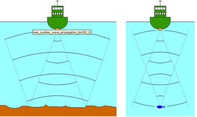 Как проверить эхолот без воды