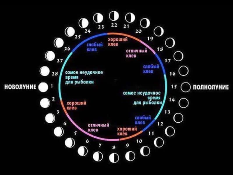 Лунный календарь клева по дням