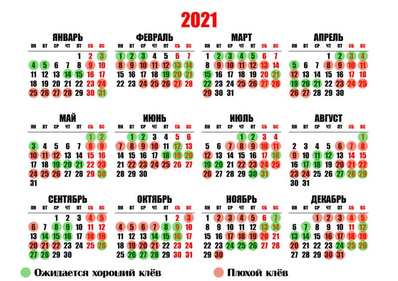 Календарь клева рыбы по дням