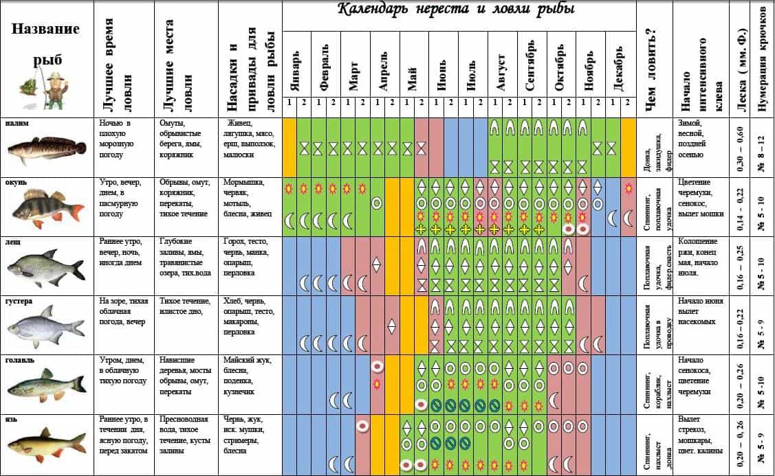 Календарь клева рыбы