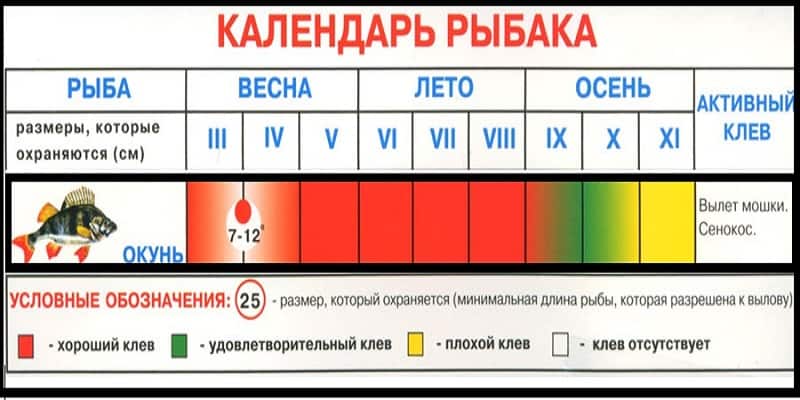 Календарь клева рыбы окунь