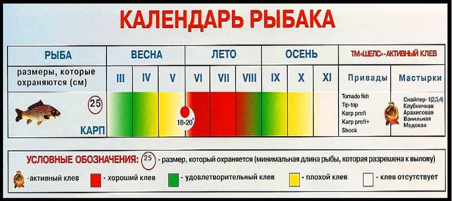 Календарь клева рыбы карп