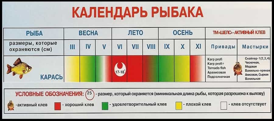 Календарь клева рыбы карась