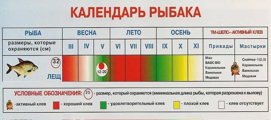 Календарь клева рыбы карась