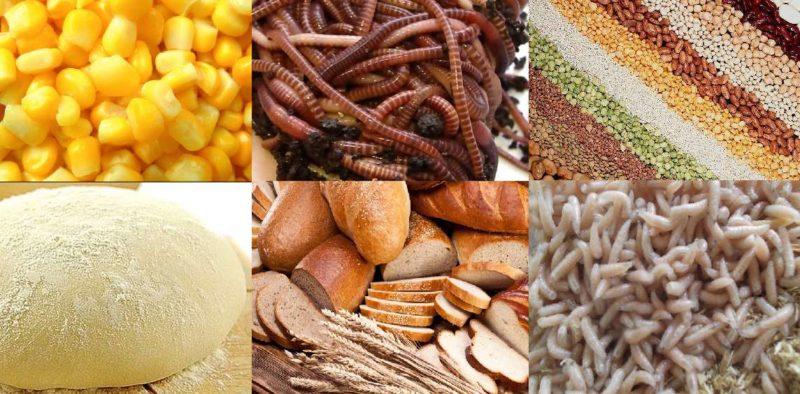 Насадки и наживки на карася