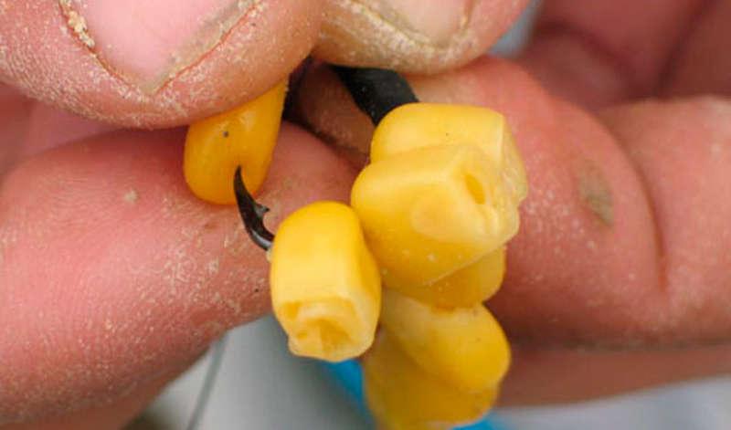 Правильная оснастка кукурузы на карпа