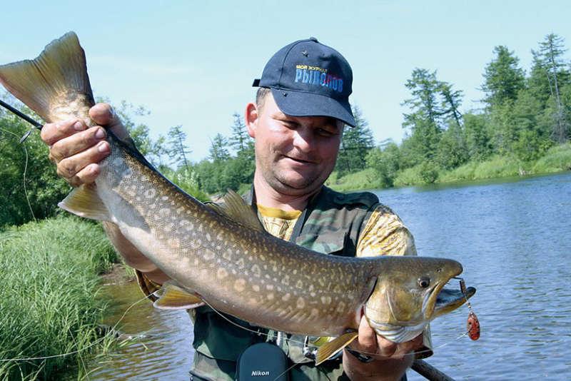 Пойманная кунджа (лососевые) фото