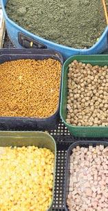 Лещ прикорм