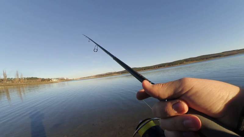Ловля на спиннинг с берега