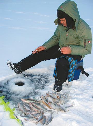 Ловля сига зимой; когда ловить сиг