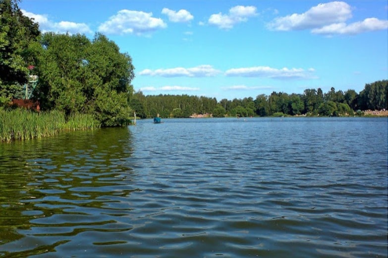 Прогноз клева в Подмосковье Малаховское озеро